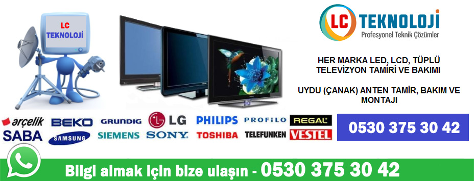 İzmir elektronik servisi